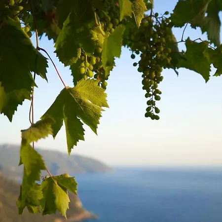 ホテル Kabak Mamma's Restaurant & Terrace Bar フェティエ